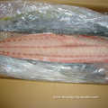 Frozen Mahi Mahi Fillet With Good Price